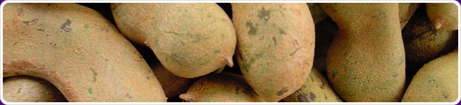 Tamarind